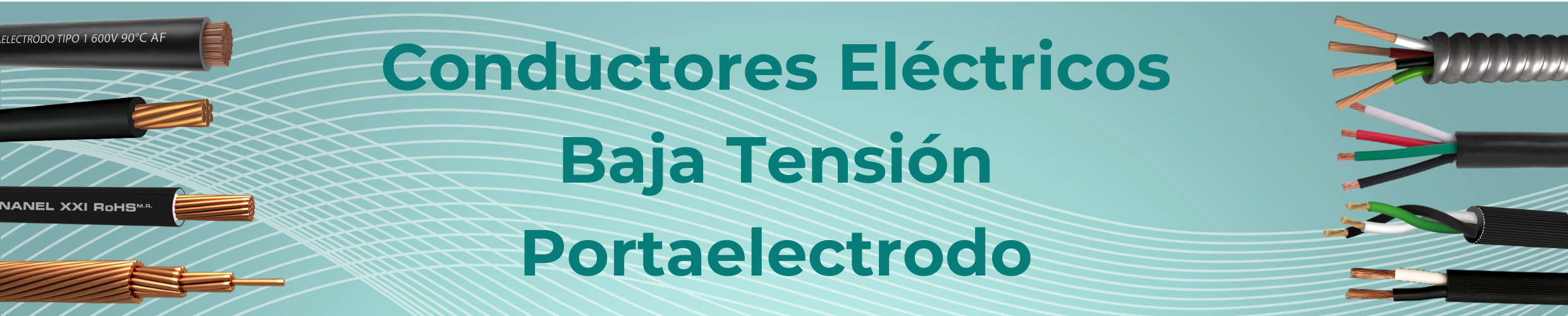 Portaelectrodo