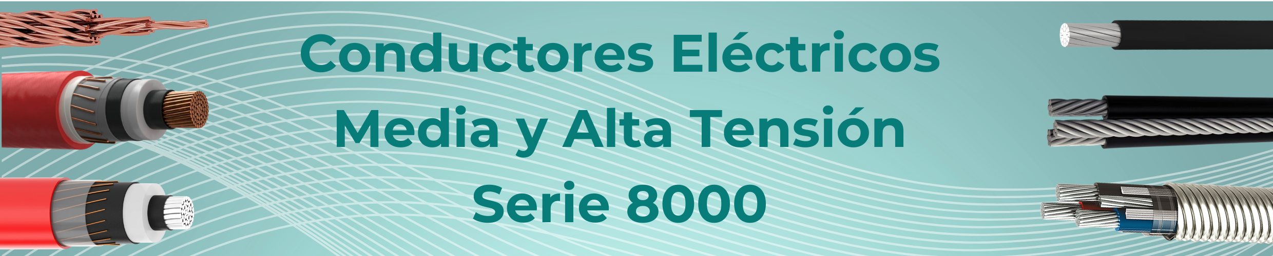 Serie 8000