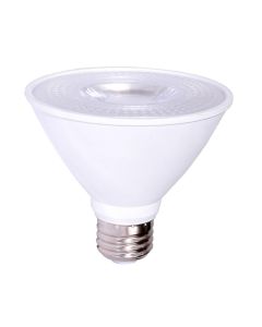 10DPAR30LED30V40