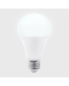13DA19LED65V