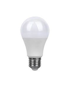 FA19BC6W