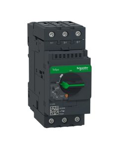 Guardamotor termomagnético 17A Schneider Electric