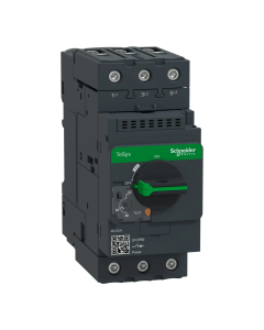 Guardamotor Schneider Electric 48A Termomagnético