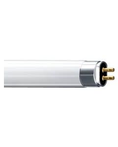 TLEDESSENTIAL54W