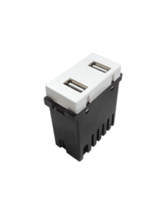 100-USB-W  2 puertos USB 2 A (1 módulo) WH
