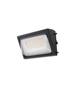WALLPACK100W