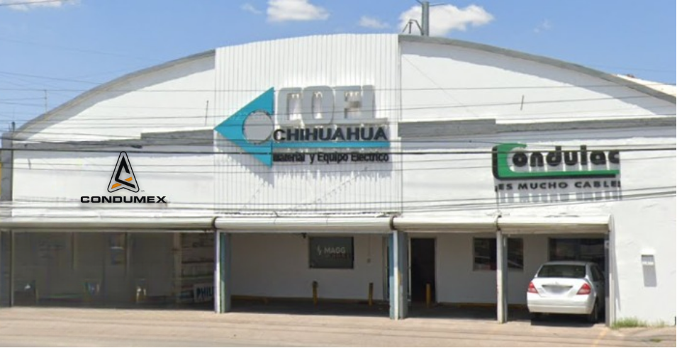 Coel Chihuahua